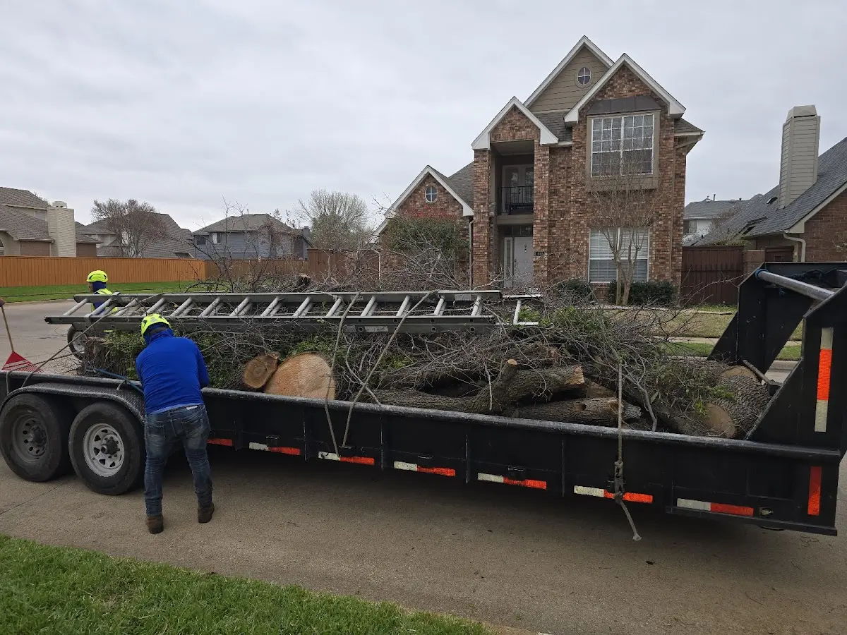 Expert Tree Fertilization with proper safety equipment in El Dorado Springs